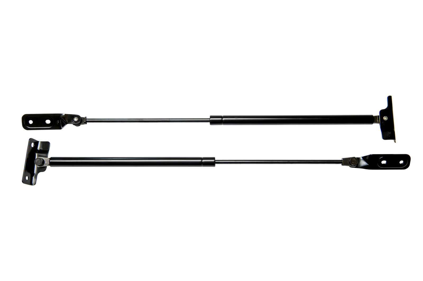 Holden Cruze Suzuki Ignis Hatch Tailgate gas struts New PAIR L & R 2001 to 2008